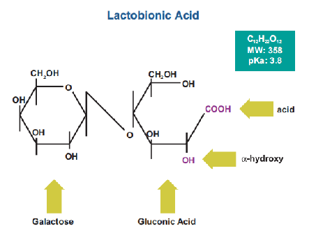 ODM 98% Lactobionic Acid Powder CAS 96-82-2 For Skin Pore Shrinking 1