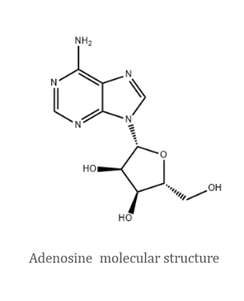 99% ATP Adenosine Powder For Skin Moisurizing CAS 58-61-7 EC NO.200-389-9 0
