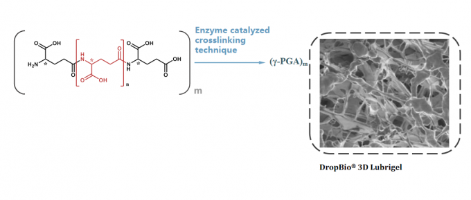 HALA Cross Linked Sodium Polyglutamate For Skin Repair Moisturizing CAS 28829-38-1 1