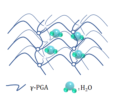 HALA Cross Linked Sodium Polyglutamate For Skin Repair Moisturizing CAS 28829-38-1 0