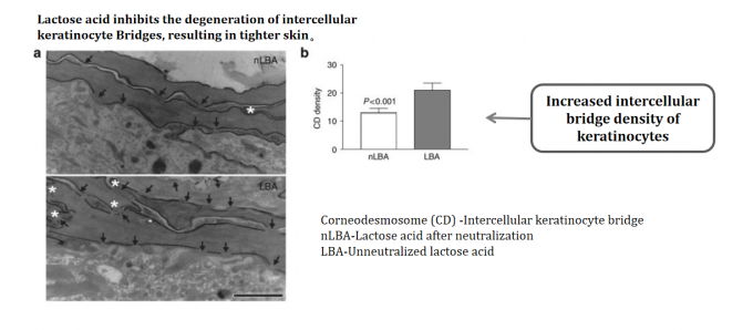 ODM 98% Lactobionic Acid Powder CAS 96-82-2 For Skin Pore Shrinking 4