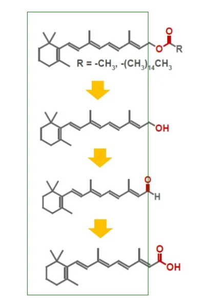 HPR L Hydroxypinacolone Retinoate Dimethyl Isosorbide Cas 5306-85-4 Cas 893412-73-2 1